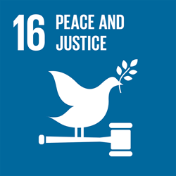 Goal 16: Peace, Justice and Strong Institutions